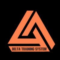 Logotipo de Delta Training System